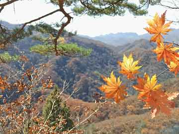 餐厅厅装修效果图,餐厅厅装修效果图片大全